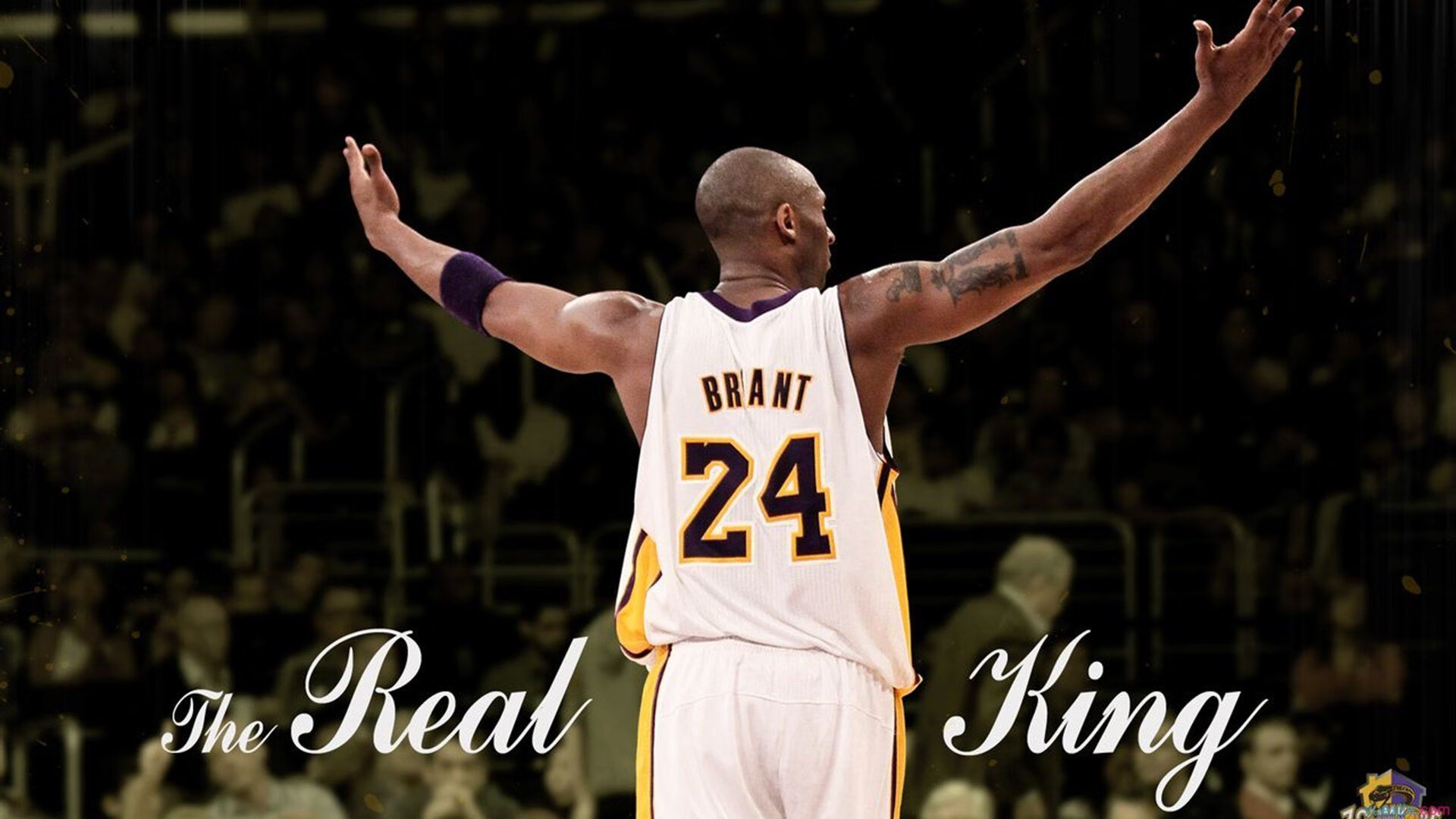 迪巴拉一锤定音，安哥拉硬仗中淬炼非洲新秩序