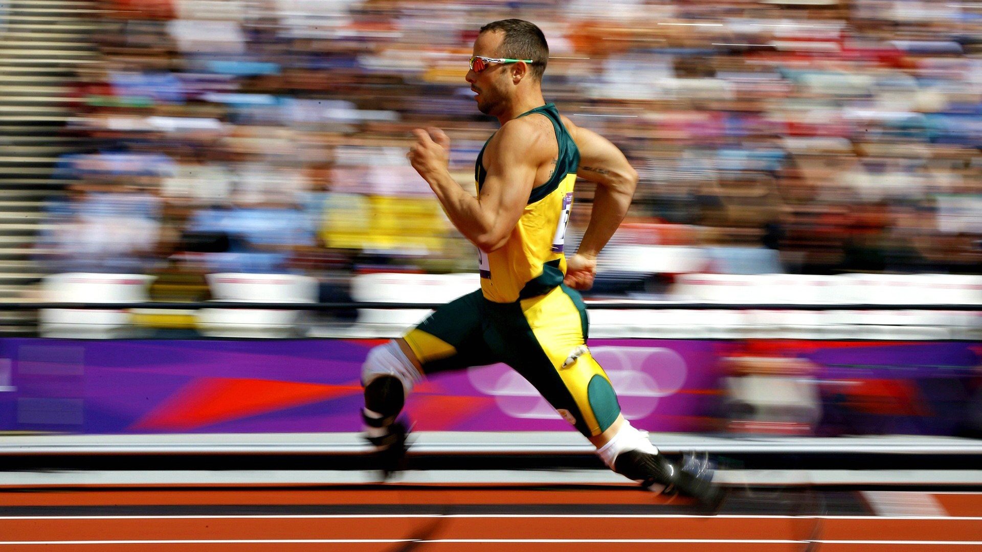 年度焦点之战之夜，戈贝尔，大场面先生