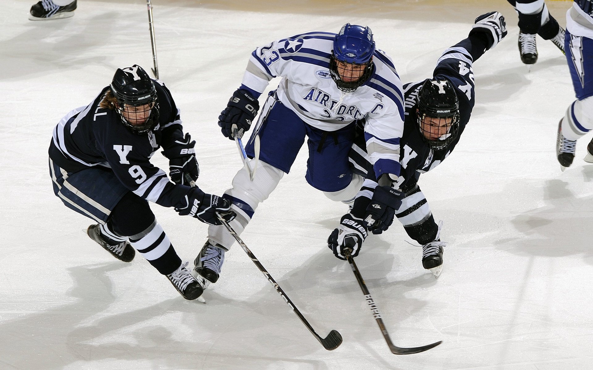 步行者压哨绝杀广东，贝恩欧冠决赛接管，体育的史诗感与凡人之光